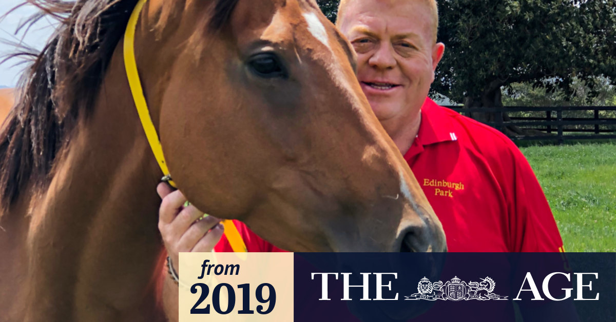 Lifetime guarantee to save horses from slaughter